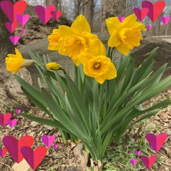 Meet your Posher, Jeanne - Picture 1 of 1